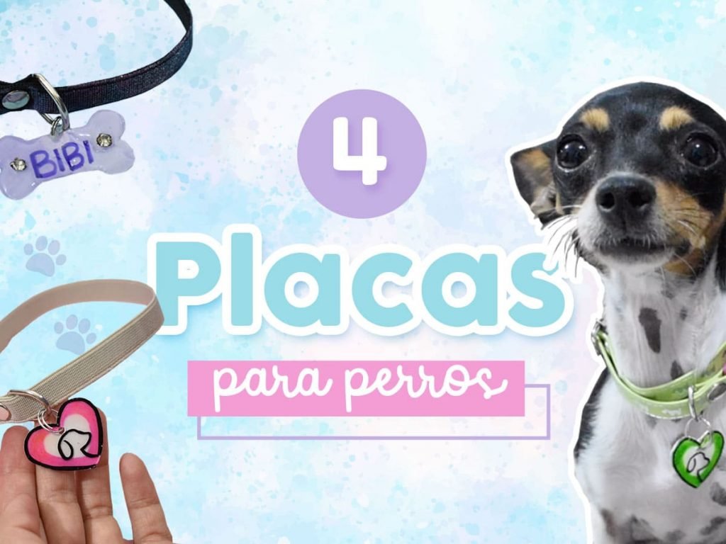 como hacer 4 placas para perros faciles