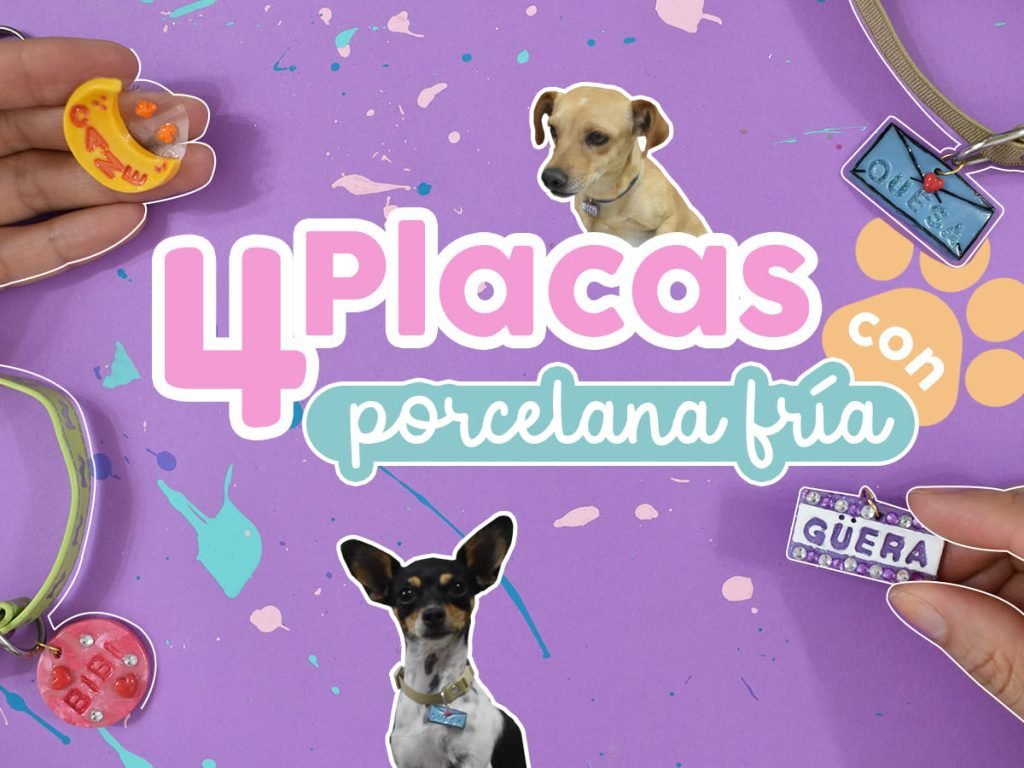 placas para perros caseras con porcelana fria